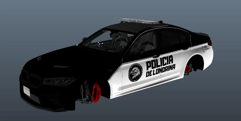 POLICIA