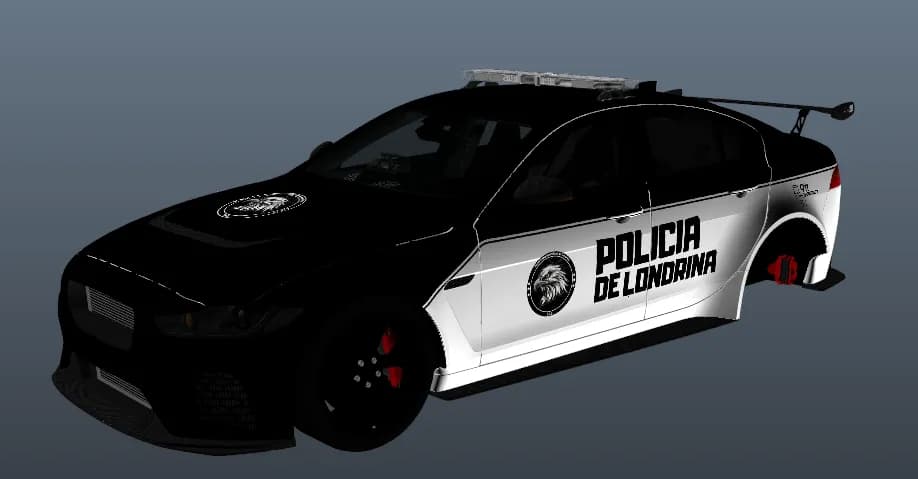 POLICIA